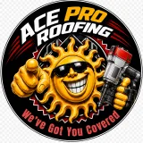 Ace Pro Roofing of SouthWest Florida logo