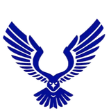 Blue Eagle Roofing & Construction logo