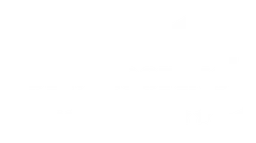 DFW Roofing Pro logo