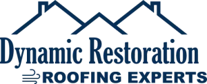 Dynamic Restoration South LLC logo