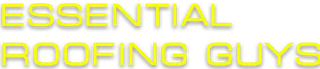 Essential Roofing Guys Apopka logo
