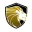 Gold Lion Construction Solutions LLC logo