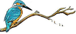 Kingfisher Roofing logo