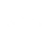 Roofboys Roofing & Construction logo