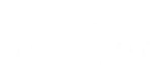 Tempest Roofing logo