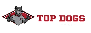 TopDogs Roofing&Sheetmetal LLC logo