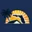 Top Florida Roofing logo